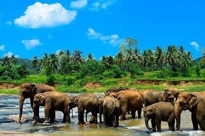 Sri Lanka Experience in 13 Days Private Tour