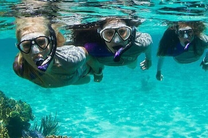 Guided Reef Snorkelling Tour in Pompano Beach