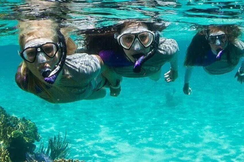 Guided Reef Snorkeling Tour in Pompano Beach