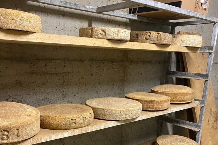 Cheese aging room