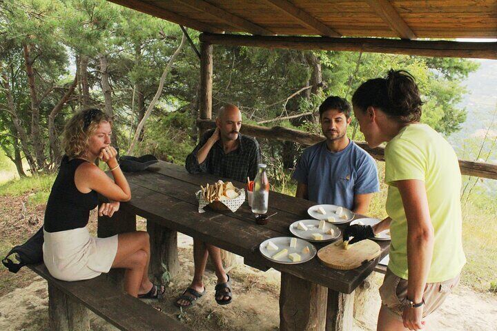 Piedmont tour to discover traditional wines and cheeses