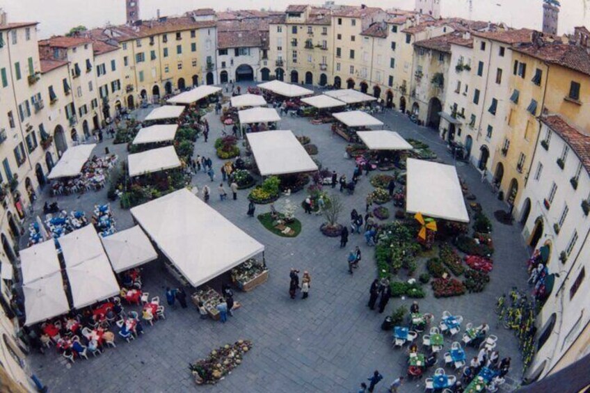 Private tour from Livorno port to Pisa and Lucca