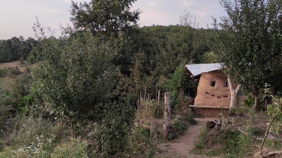 Permaculture and Homestead Tour in Șardu, Cluj