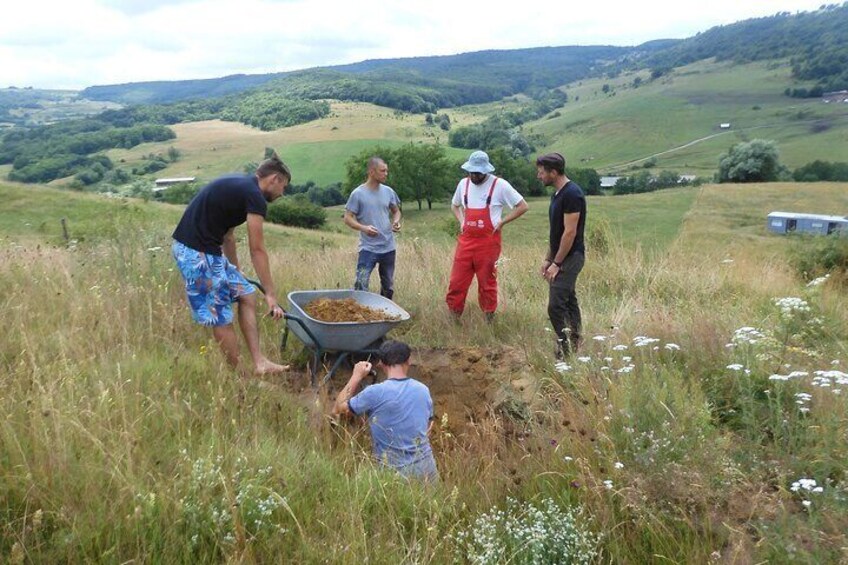 Permaculture and Homestead Tour in Șardu, Cluj