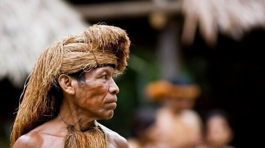 Iquitos Rainforest Escape 3 Days Jungle Exploration Amazon