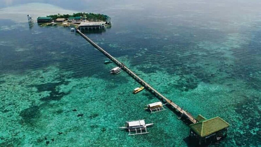Nalusuan Island Tour with Lunch