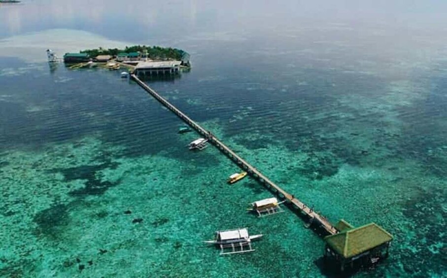 Nalusuan Island Tour with Lunch