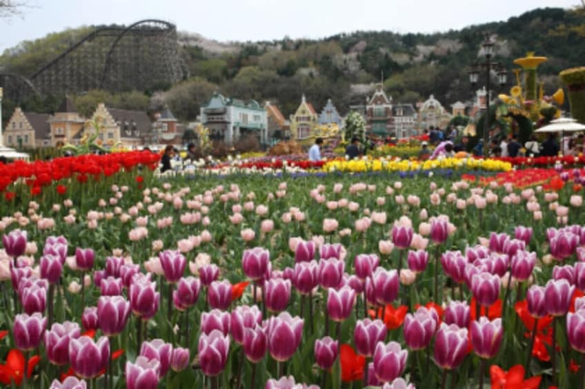Everland Theme Park Ticket (Open-dated)