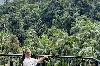 Tamborine Explorer from Gold Coast