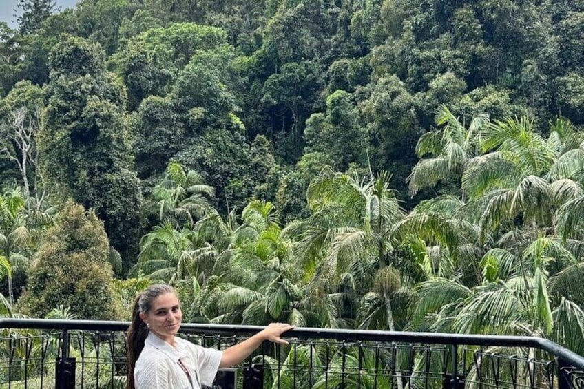 Rainforest Skywalk