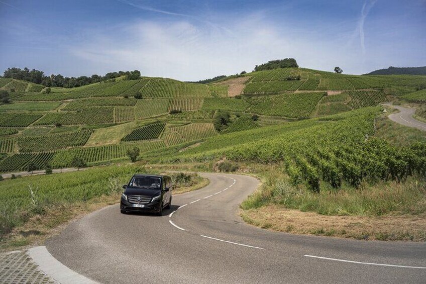 Alsace Grand Cru Private Day Tour from Strasbourg
