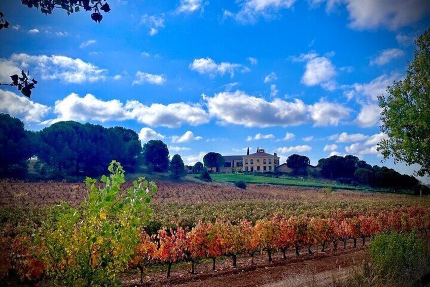 1 day retreat, Wine Tasting in Winery, Yoga in Vineyard and Lunch