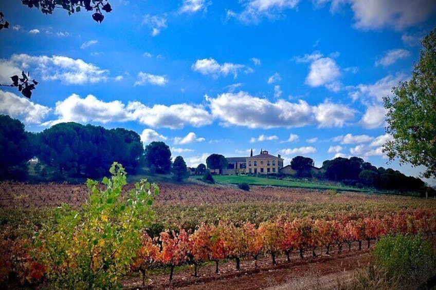 1 day retreat, Wine Tasting in Winery, Yoga in Vineyard and Lunch