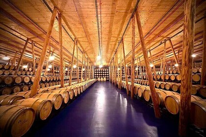 1 day retreat, Wine Tasting in Winery, Yoga in Vineyard and Lunch