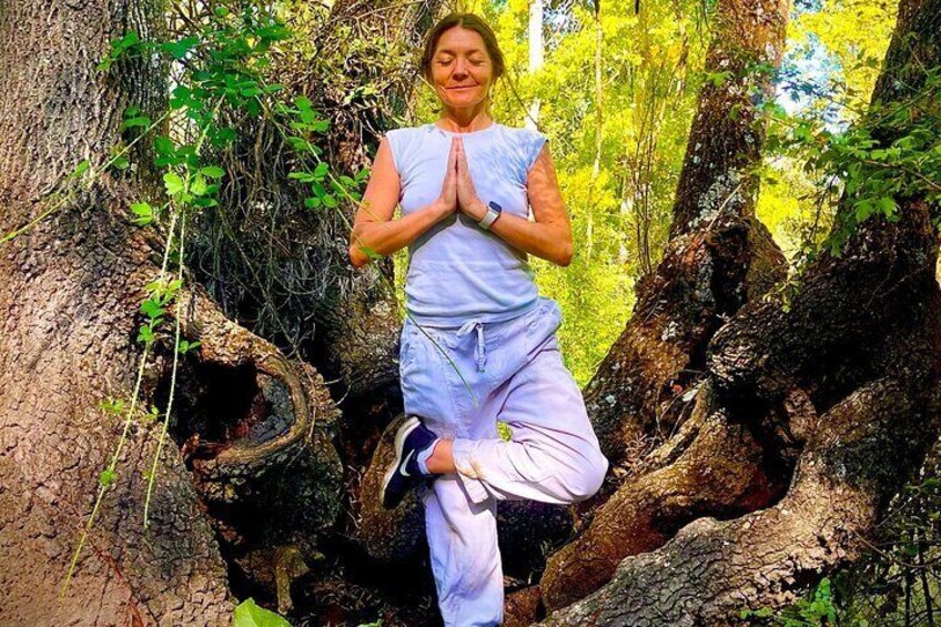 1 day retreat, Wine Tasting in Winery, Yoga in Vineyard and Lunch