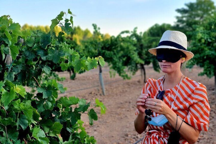 1 day retreat, Wine Tasting in Winery, Yoga in Vineyard and Lunch