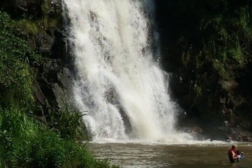 Private North Shore Waterfalls and Turtles Tour