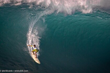 Private North Shore Waterfalls and Turtles Tour