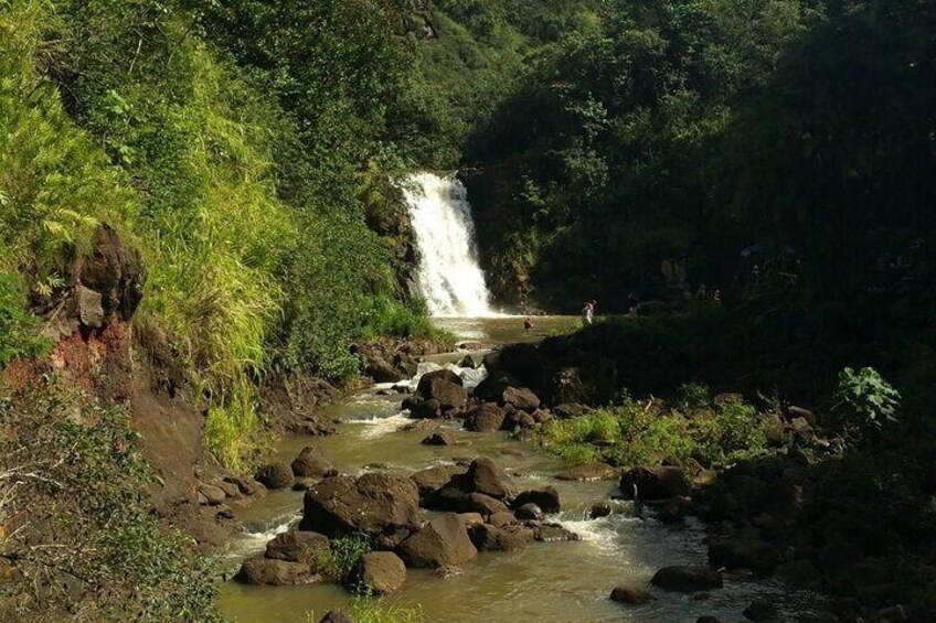 Private North Shore Waterfalls and Turtles Tour