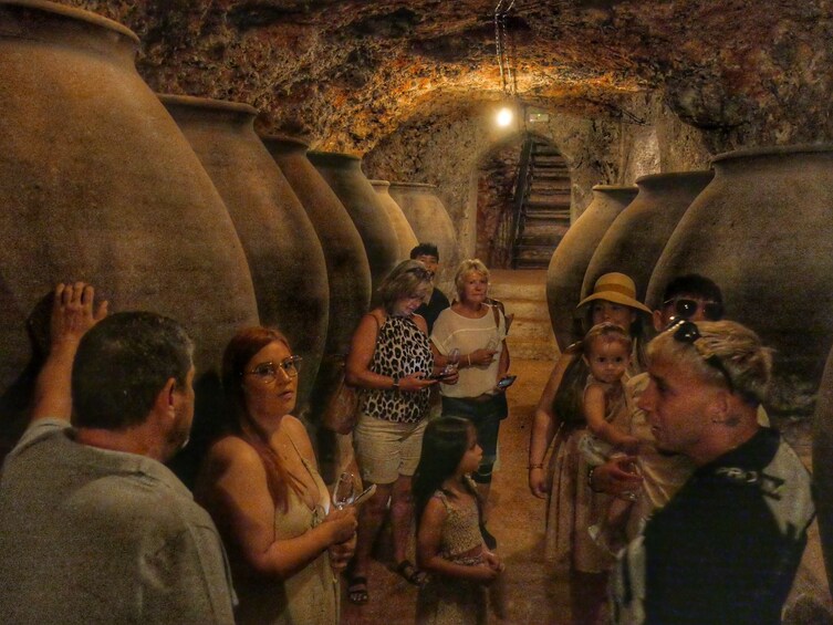 Day Trip from Madrid to Alcalá de Henares with Wine Tourism Experience