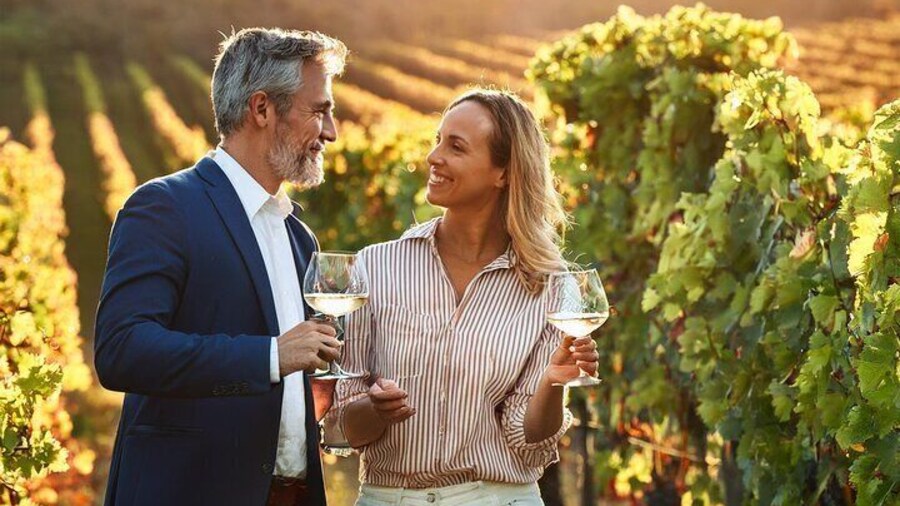 Private Wine and Local Flavors Tour from Palma de Mallorca