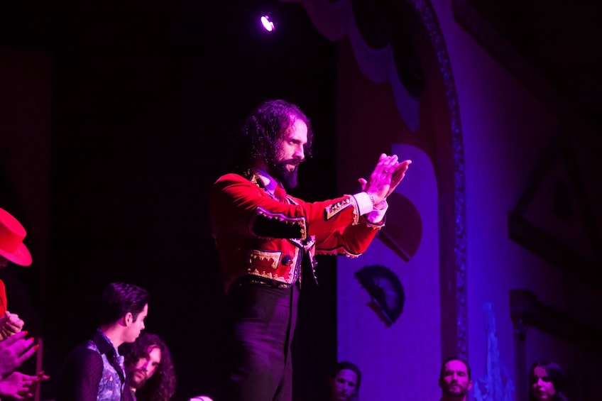 Flamenco Show & Dinner at Palacio Andaluz 