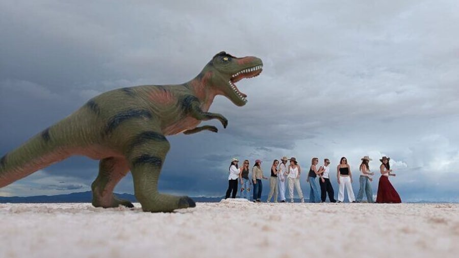 Salar de Uyuni Full Day Group Tour with Hotel pick up