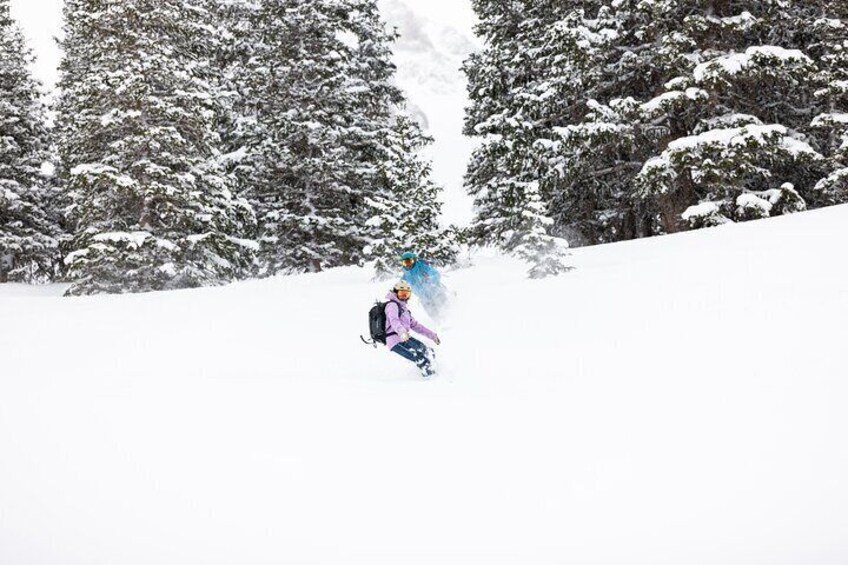 Guided Backcountry Skiing Ouray