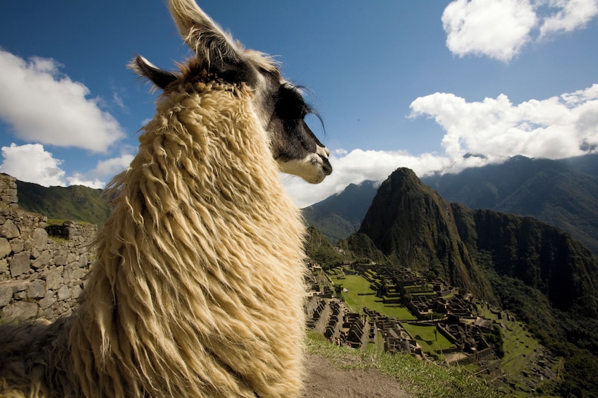 7-Day New Dawn in Machu Picchu: Lima, Cusco & Sacred Valley