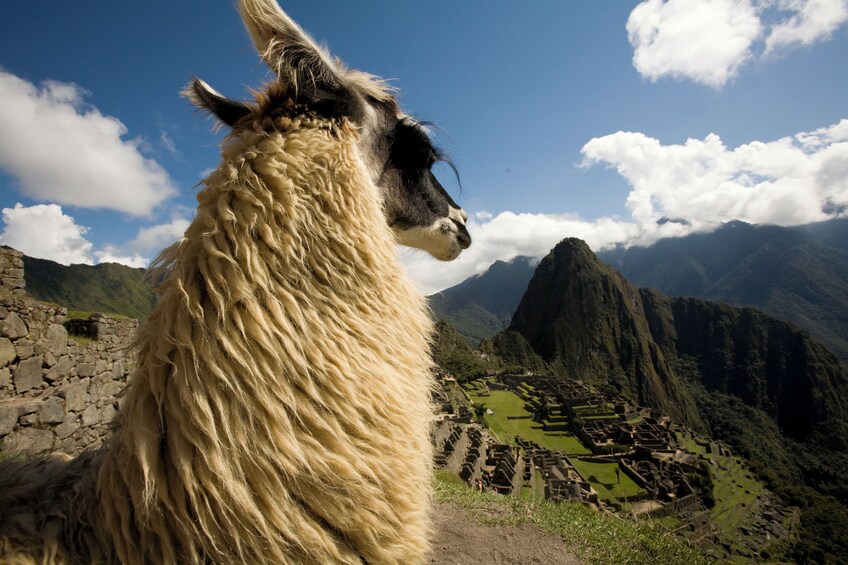 7-Day New Dawn in Machu Picchu: Lima, Cusco & Sacred Valley
