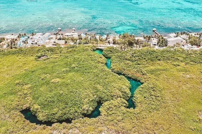 Tulum Reef Snorkel, ATV/Scooter/E-bike, Cenote Swim/Snorkel/Paddle Board + Lunch