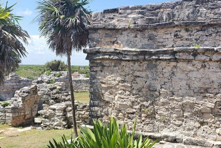 Tulum Ruins Scooter/ATV/E-Bike Tour, Snorkel/Swim/Paddle board Cenote + Lunch