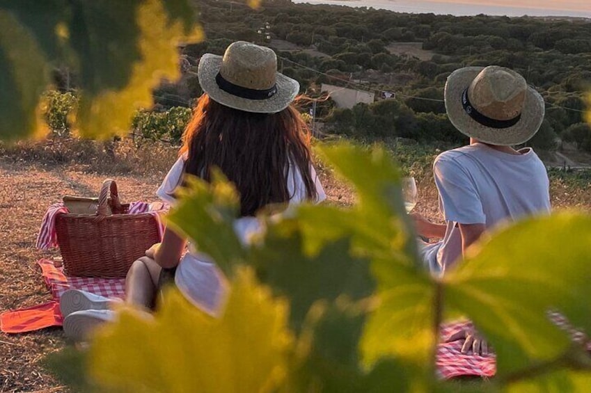 Palau Small Group Picnic in a Gallura Estate with Wine tasting