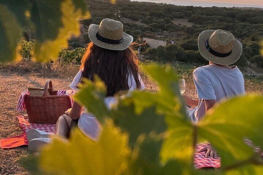 Palau Small Group Picnic in a Gallura Estate with Wine tasting