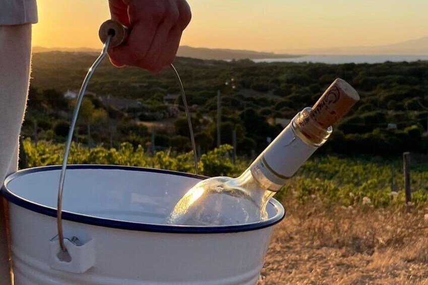 Palau Small Group Picnic in a Gallura Estate with Wine tasting
