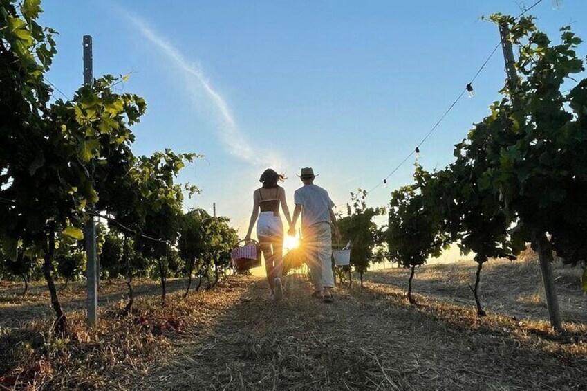 Palau Small Group Picnic in a Gallura Estate with Wine tasting