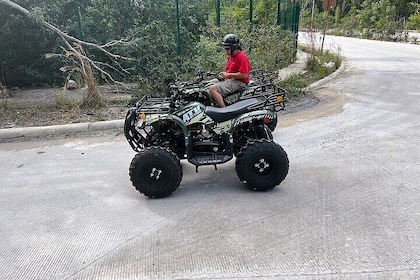 Tulum Area Experiences Guided quad bike Tour to 3 Cenote's, Snorkel/Swim & ...