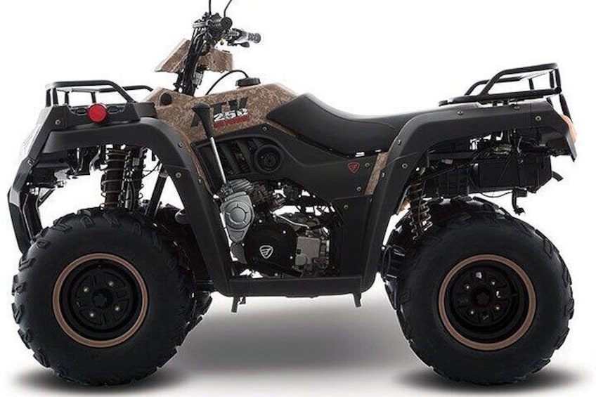 Tulum Area Guided ATV Tour w 3 Cenote's, Snorkeling & Local Lunch