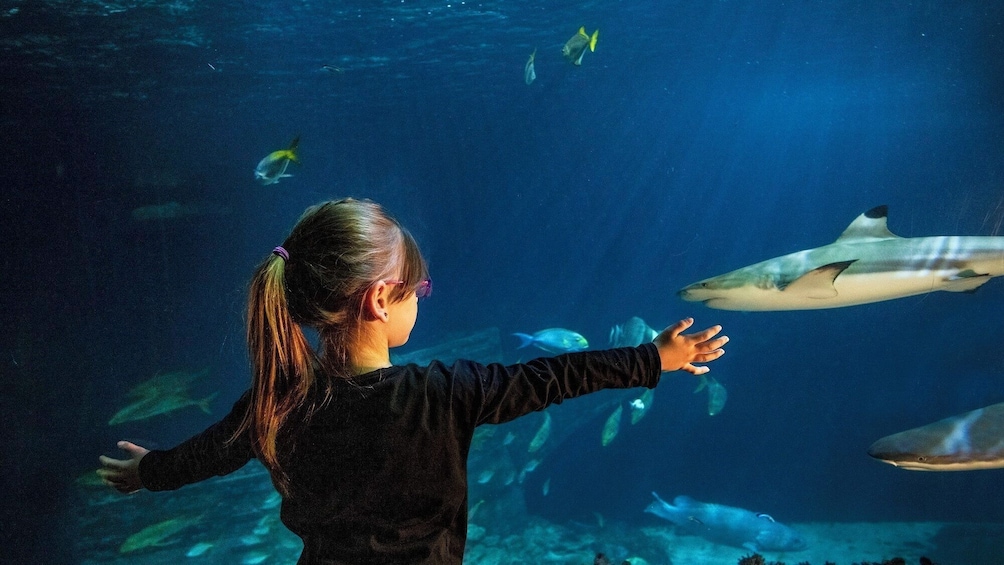 SEA LIFE Munich Aquarium Ticket 