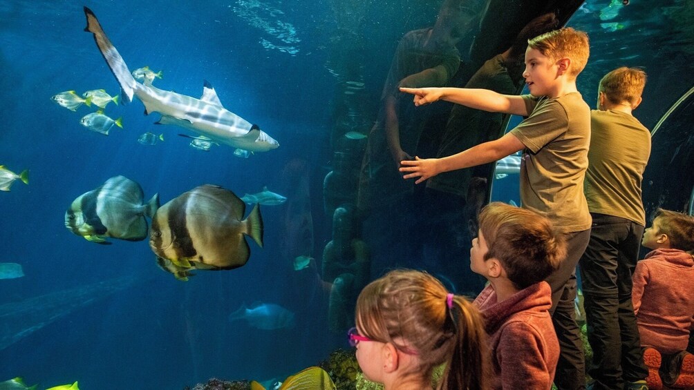 SEA LIFE Munich Aquarium Ticket