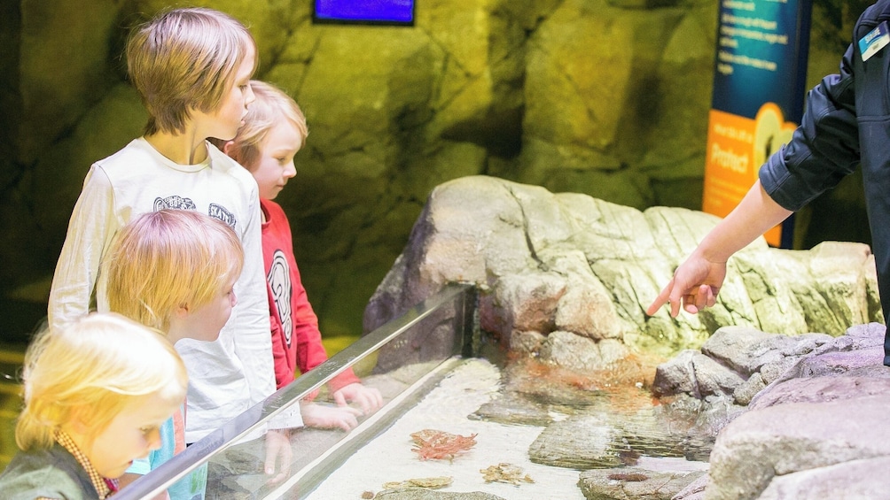 SEA LIFE Munich Aquarium Ticket 