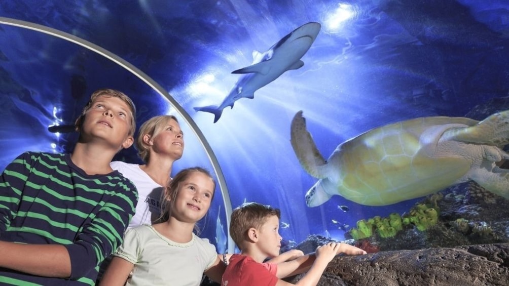 SEA LIFE Munich Aquarium Ticket