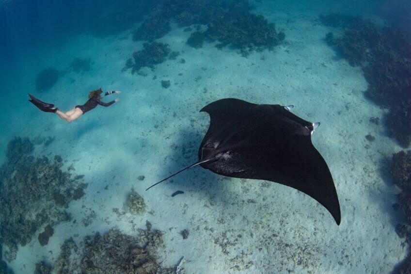 All-Inclusive Nusa Penida Tour