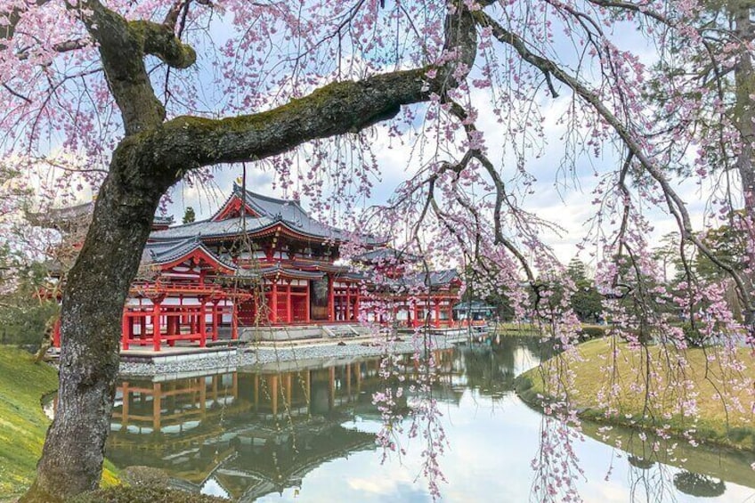 Kyoto & Uji: Full Day Sightseeing Tour from Osaka or Kyoto