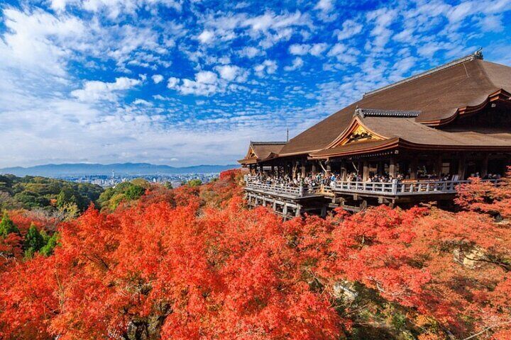Kyoto & Uji: Full Day Sightseeing Tour from Osaka or Kyoto