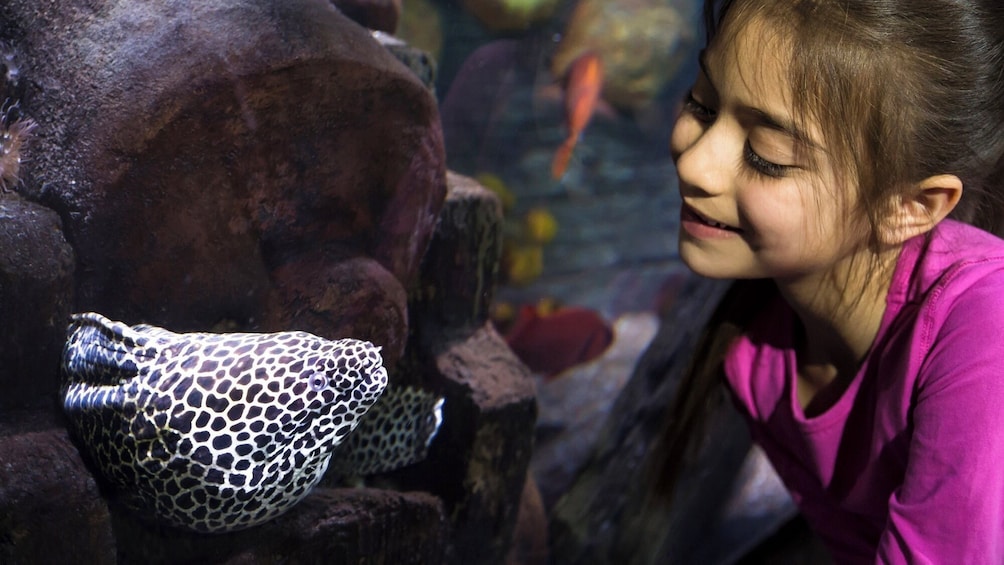 SEA LIFE Speyer Admission Ticket
