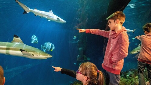 Billet d’entrée SEA LIFE Speyer