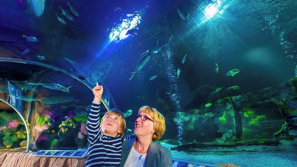 SEA LIFE Timmendorfer Strand Admission Ticket