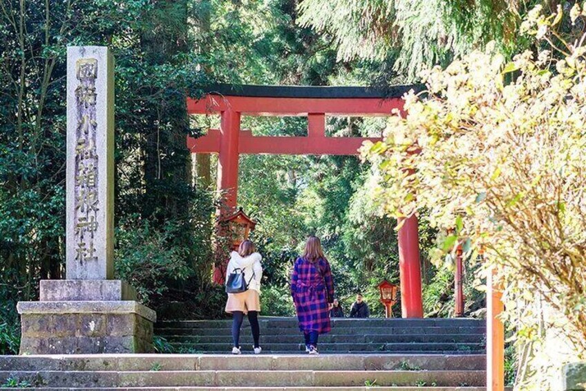 Hakone Shrine has a shrine path lined with cedar trees that are over 800 years old.
