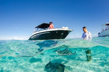 3 Hour Private Charter on Stingray City with Snorkelling